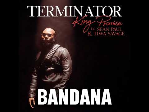 king Promise terminator remix feat Sean paul and tiwa savage lyrics