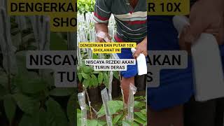 Download lagu PRAYERS TO GET SMOOTH, FREQUENTLY FLOWING PROFIT #prayer #prayer #self-motivation #advice #wisewo... mp3 Download lagu PRAYERS TO GET SMOOTH, FREQUENTLY FLOWING PROFIT #prayer #prayer #self-motivation #advice #wisewo... mp3