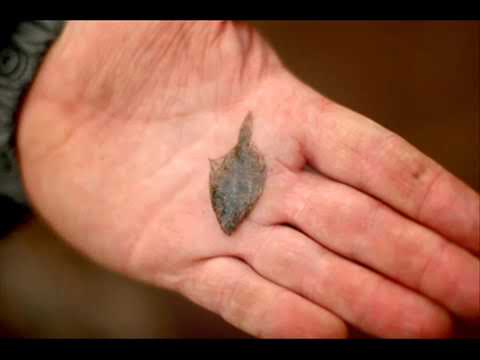 Who Hid The Halibut On The Poop Deck