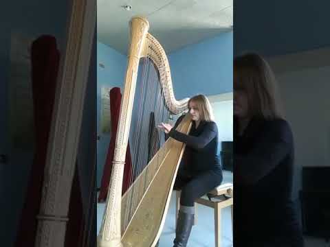 W.Posse  studio da concerto n.2