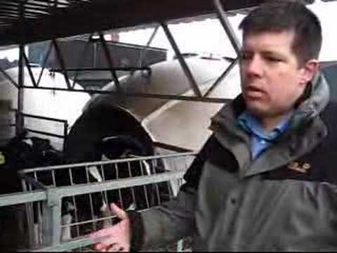 Daviesway - Holm & Laue Calf Igloo