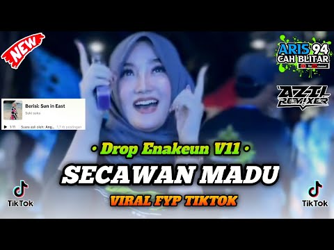 DJ DROP V11 X SECAWAN MADU || VERSI VIBES KARNAVAL FYP TIKTOK BY AZIL REMIXER