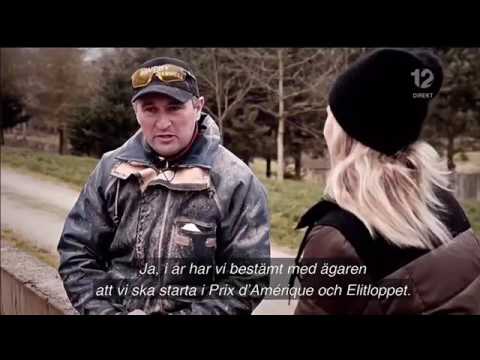 Bold Eagle, Sébastien Guarato before Pd'A 2017