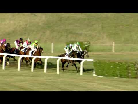 7. dostih - Cena Jockey Clubu ČR - dostihy Most 18. 5. 2020