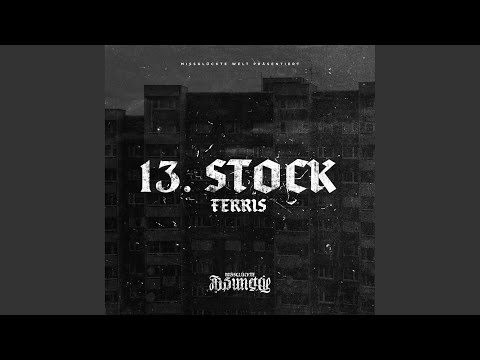 13. Stock