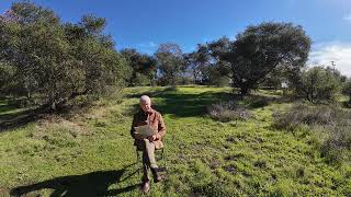 Episode 41: The Blame Game