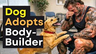 Blindfolded Bodybuilders Let Shelter Dogs Choose Who They Trust 💔😂