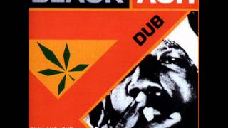 sly and the revolutionaries - black ash.wmv