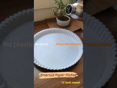 12 inch biriyani paper plates