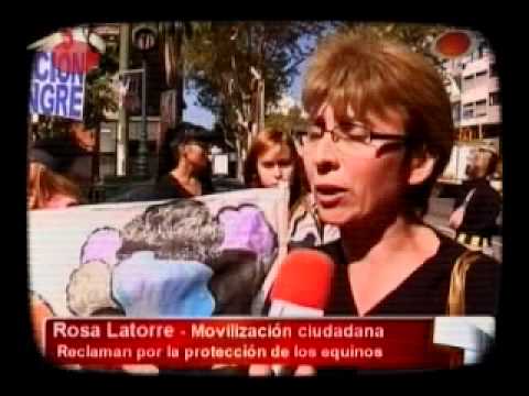 BENDITA TV 261 - INFORME CARRITOS PROBLEMATICOS