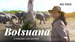 Vídeo: CNN Viagem & Gastronomia | Botsuana: o fascínio dos safáris - 28/03/2026