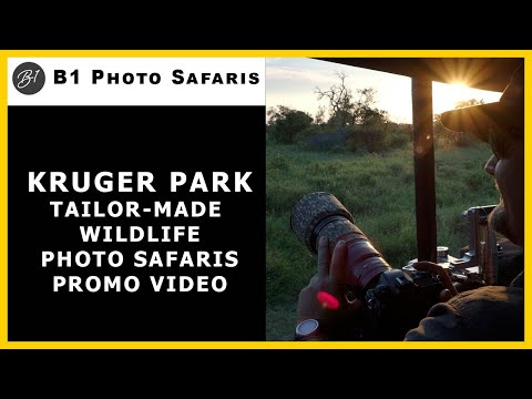 B1 Photo Safaris video.