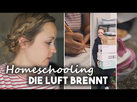 Between happiness and madness, the purchase agreement was signed I XL VLOG I Mellis Blog