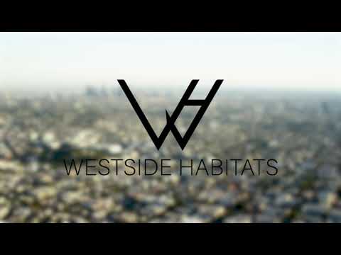 Havenhurst Drive Apartments property video
