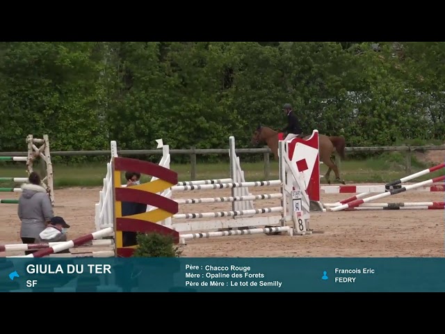 vends jument cso 9 ans super génétique