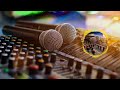 Pattam Poochi Di Remix Echo Song