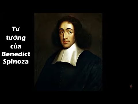 A obra de Bento Spinoza
