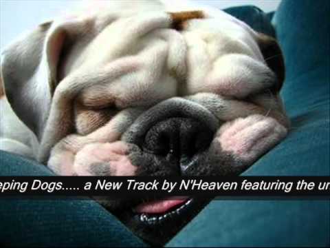 N'Heaven feat Tiff Lacey - Sleeping Dogs
