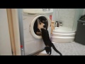 Cat And Washing Machine