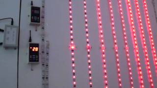 preview picture of video 'Flexible led strips with IC controller-www.top-led-light.com'