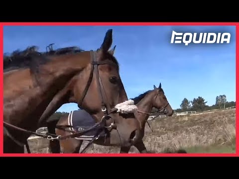 download lagu mp3 mp4 Leenders, download lagu Leenders gratis, unduh video klip Leenders