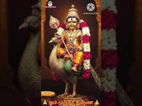 ஆறுமுகனுக்கு அரோகரா பாடல் WHATSAPP STATUS 🙏 🙏 🙏 ஶ்ரீ ஹரி  முருகன் பக்தி பாடல் WHATSAPP STATUS 🙏🙏