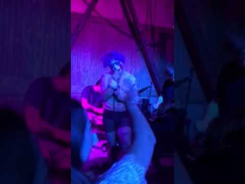 DMTina and the Bumps - Tranimal Live