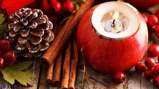 DIY -Cinnamon  Scented PineCones