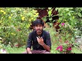 Damaku Damaku Song Aadhavan Movie