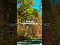 Skyline drive Shenandoah national park #travel #virginia #skyline #shenandoah #nationalpark