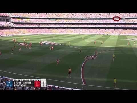 Luke Hodge in the 2014 Grand Final