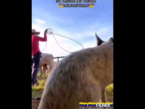 DE TANDA EN TANDA - J.H.CASTILLO