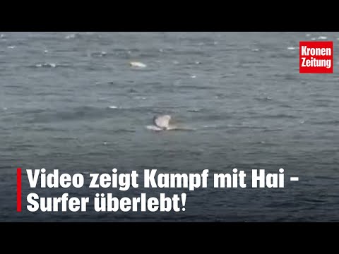 Video zeigt Kampf mit Hai – Surfer überlebt! | krone.tv NEWS