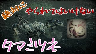 絶対にやられてはいけない タマミツネ討伐　リベンジ編