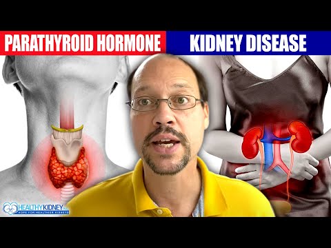Elevated Parathyroid Hormone and Kidney Disease Treatment & Diet Recommendations in high PTH in CKD
