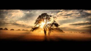 No Problem Local H, Amazing Pictures