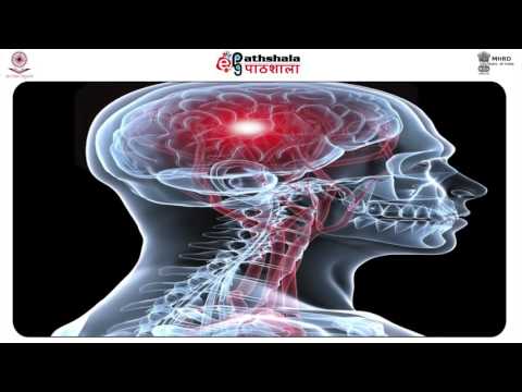 Designer drugs (FSC)