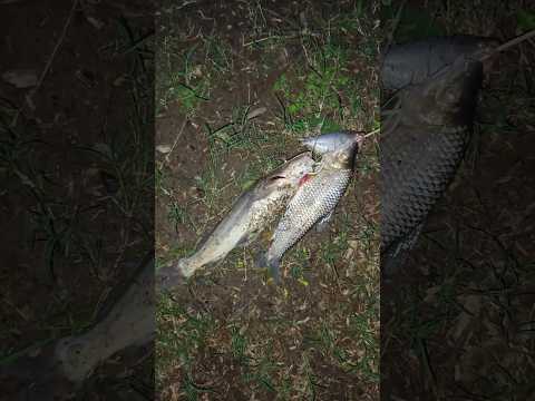 tarde de pesca en el hermoso pueblo Aguas calientes jujuy 🎣