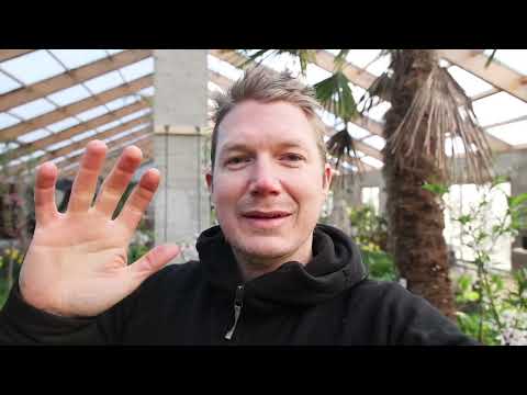 Citrus uppdatering -  Köldtåliga citrus