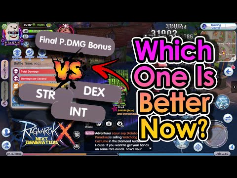 [ROX] Which Stat Is More Important? Final PDmg Bns and Main Stat DPS Test On MVP | King Spade