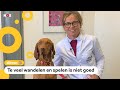 Meer klachten bij huisdieren omdat baasjes veel thuis zijn
