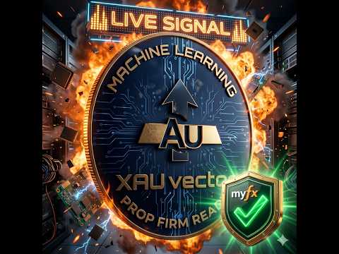 Video Xau Vector