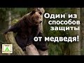 Один из способов защиты от медведя. 