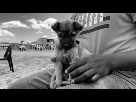 Don't Support, Report. 2021 Art Direction Project