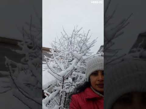 A memorable day back in 2018 in Rome, Italy (2018 දී ඉතාලියේ රෝමයේදී අමතක නොවන දවසක්)