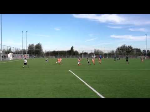 ZM F1 - Patrijzen F1