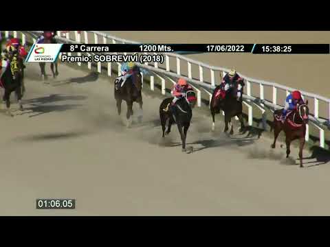 220617 c08 - GRINGA LOCA - HIPODROMO LAS PIEDRAS