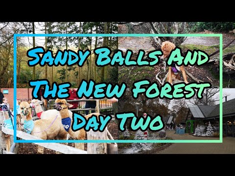 Sandy Balls and the New Forest | Day Two | Exploring the forest, alpacas, & Christmas comes to town!