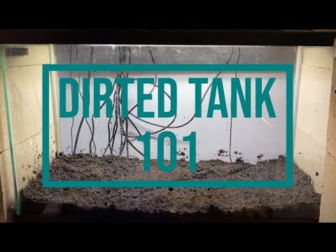 How to setup a Dirted Tank - Guide to a soil substrate Aquarium.