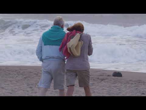 Cari Tibor - Caminhando juntos